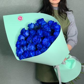 Розы (Эквадор) синие 