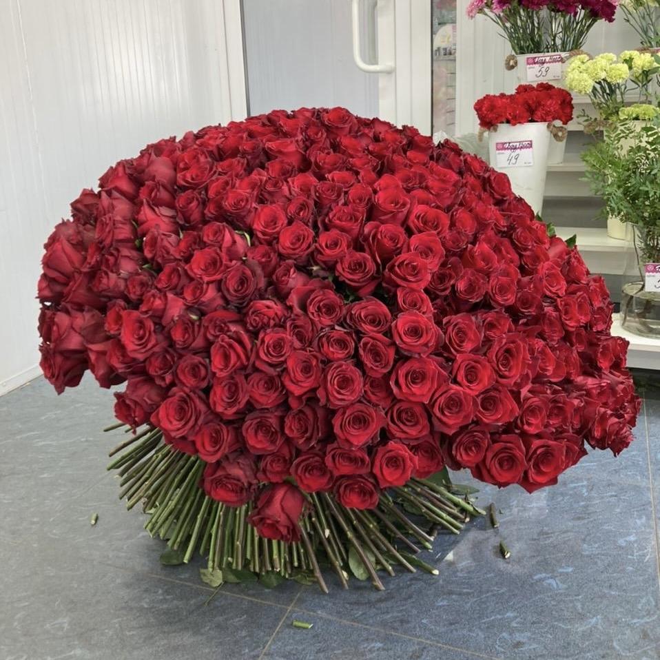 Букеты из красных роз 80 см (Эквадор) код: 43632nvsb