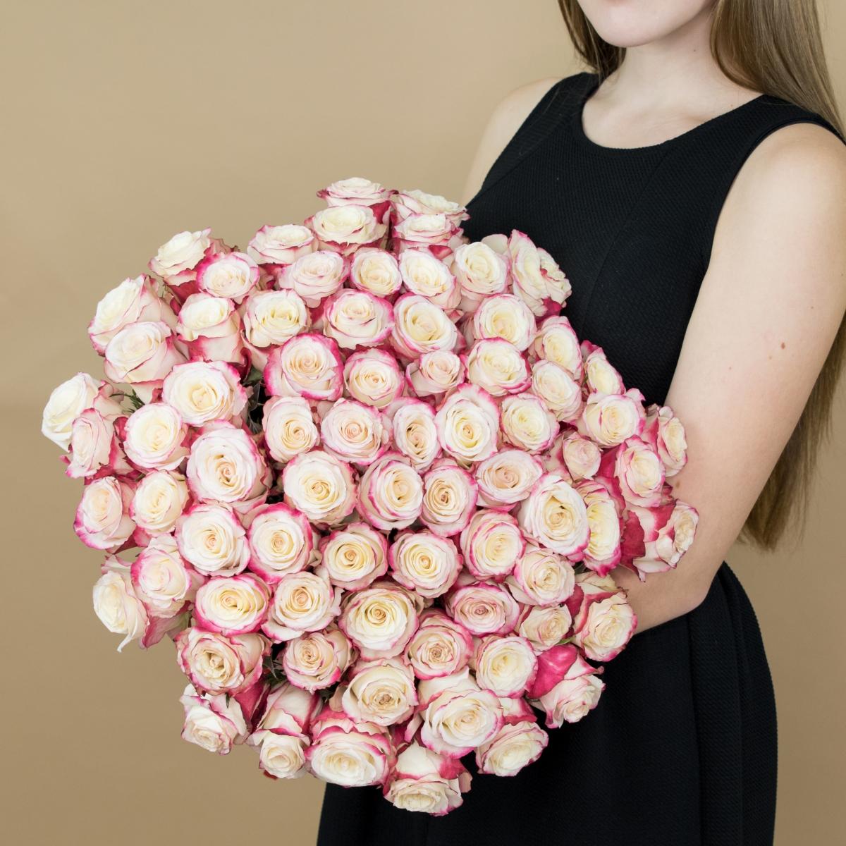 Розы красно-белые (40 см) Эквадор № - 108nvsb