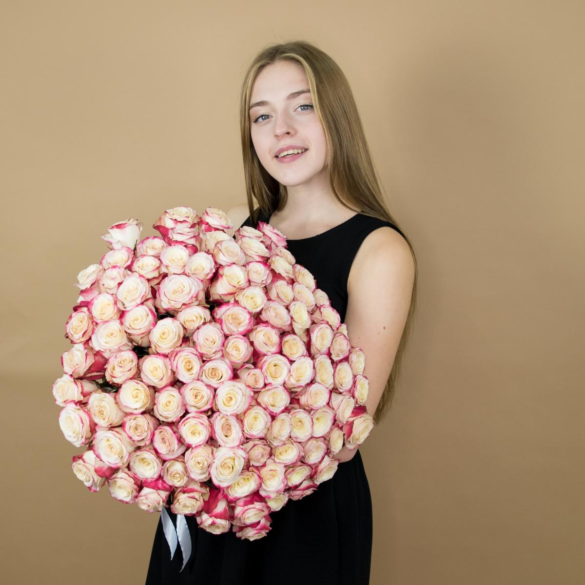 Розы красно-белые 101 шт. (40 см) артикул букета: 19224nvsb